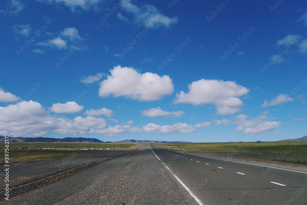 Mongolia scenery with beautiful nature, sky and animals