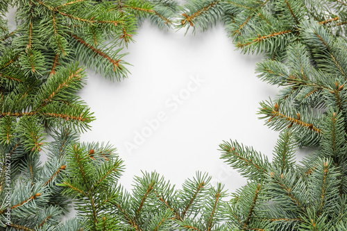 Frame made of Christmas tree branches on white background