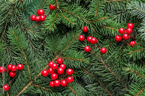 Christmas tree branches with berries