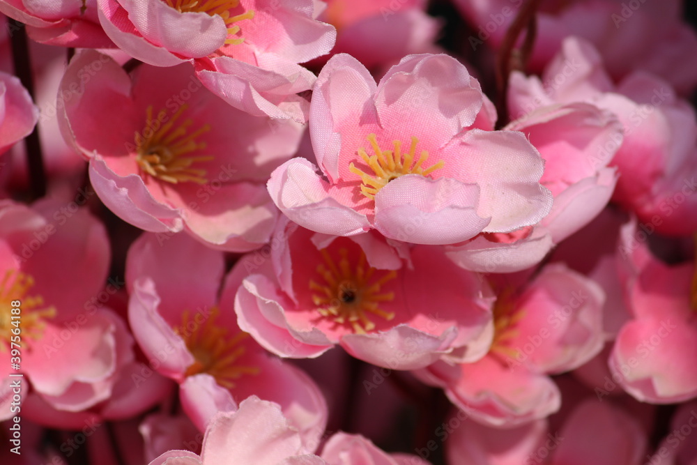 pink and white flower made of fabric 