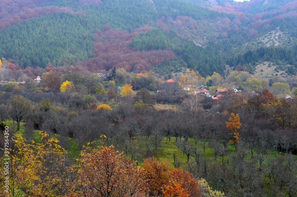 the landscape of the village in autumn colors