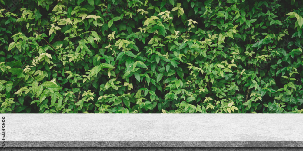 White marble table top on blur Nature and bokeh background