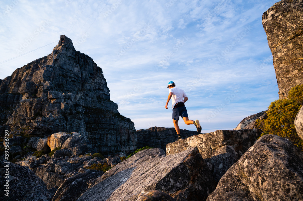 Fototapeta premium A trail runner running along a mountain ridge under a blue sky on Table Mountain in Cape Town