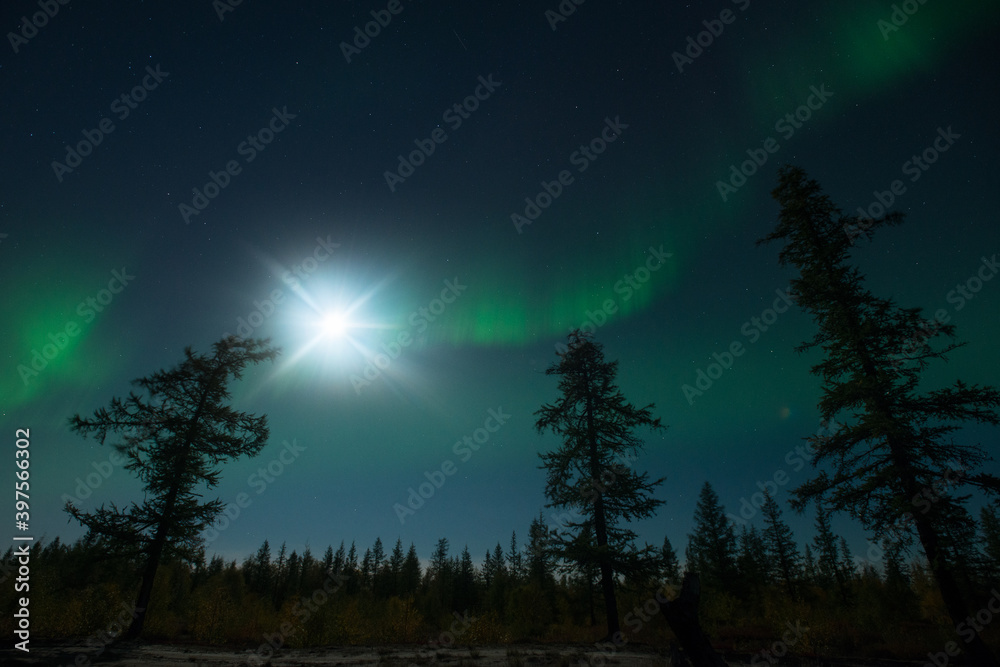 Fototapeta premium Northern lights with a bright moon
