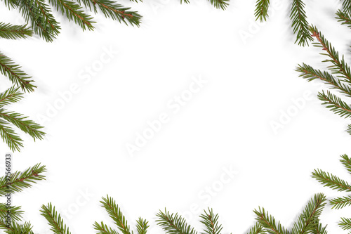 Fir tree branch frame on white