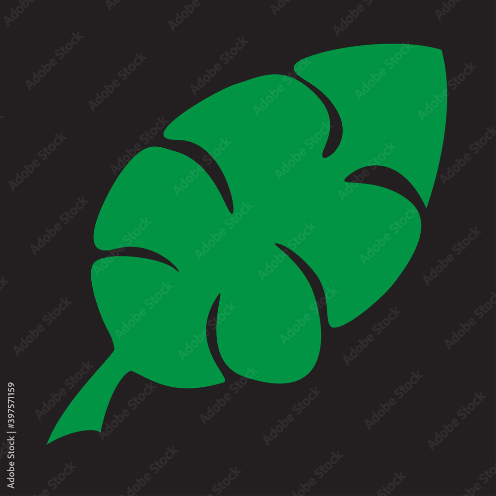 Abstract exotic green leaf on a dark background. Abstract exotic green leaf on a dark background.