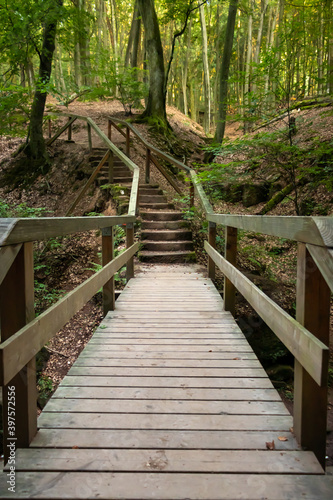 Bridge over a small stream along a walking path in Elendsklamm in the Palatinate Forest of Germany.