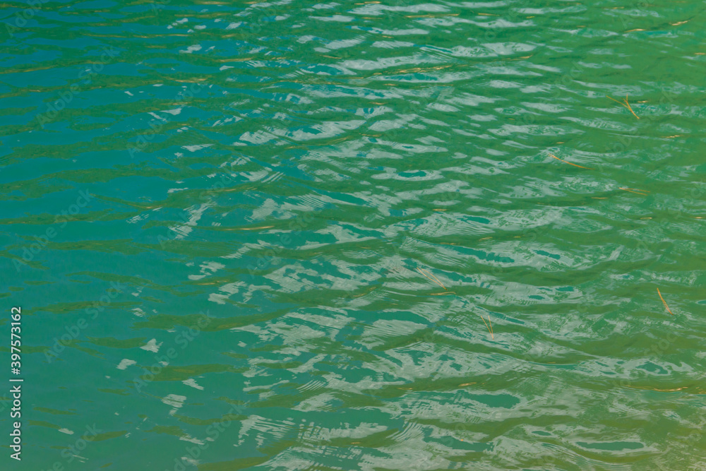 Water texture background. Surface of the lake