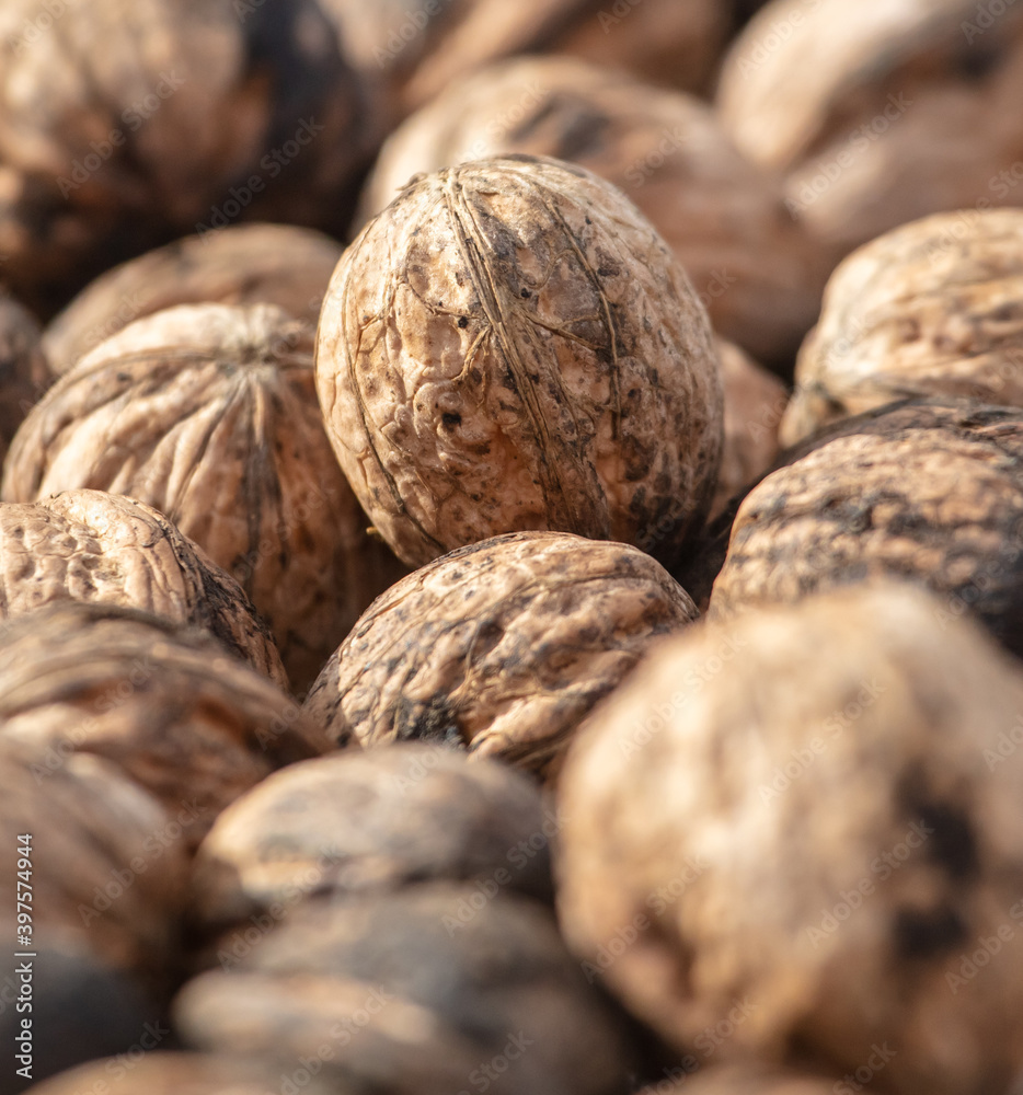 Close up of walnuts as background. Macro