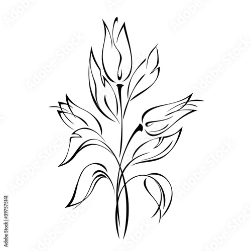 ornament 1416. bouquet of three flower buds on stems with leaves in black lines on a white background