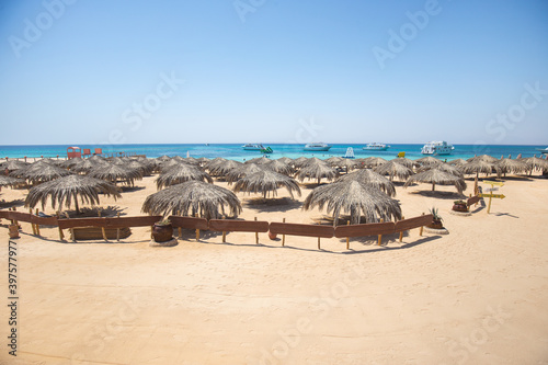 summer beach and Red Sea in Egypt Paradise island