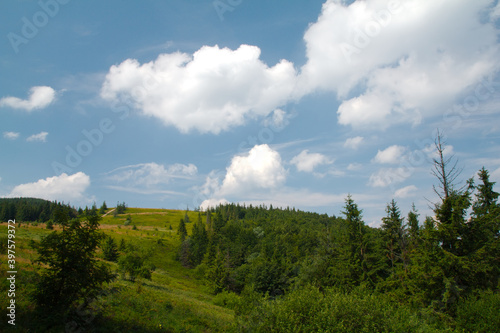 Letni krajobraz górski w Lecie