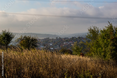 Landscape  in the foreground wheat and grass. In the distance you can see houses through the fog.