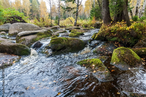 Rocky river in autumn forest