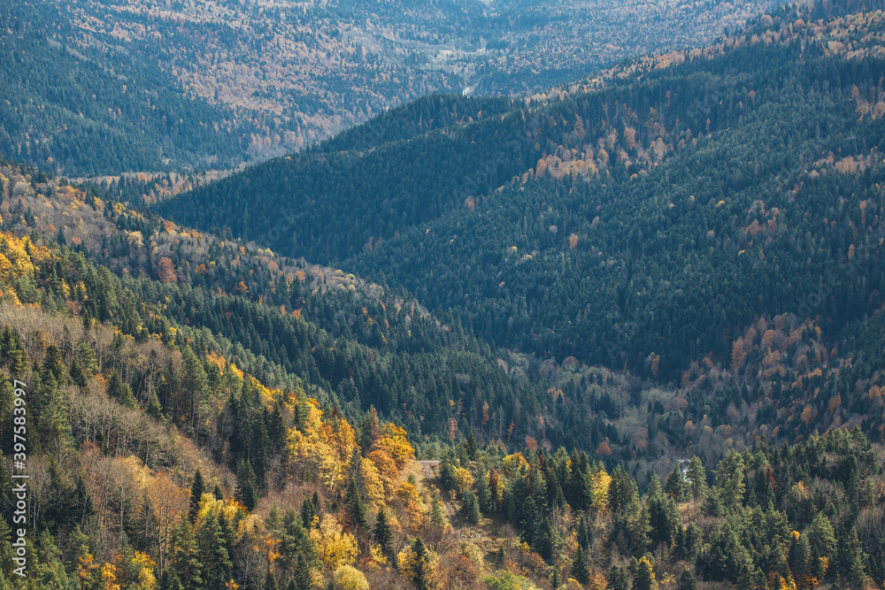 beautiful views of the valley in the Caucasus