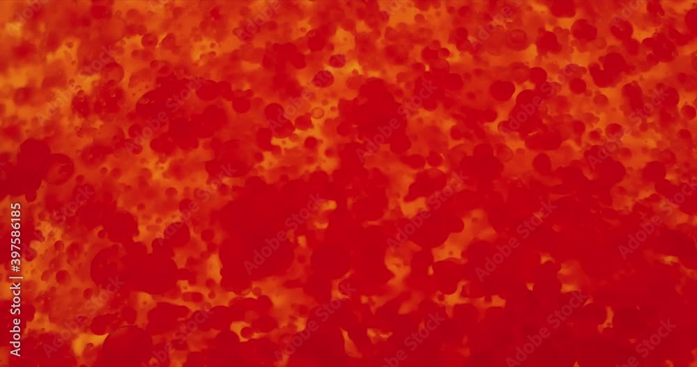 Stream of red blood cells in glowing plasma closeup footage