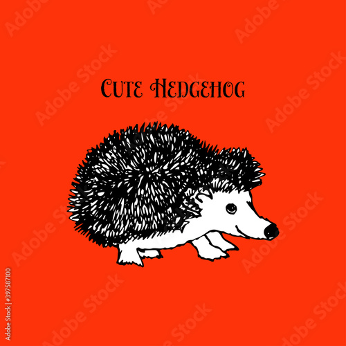 A black-and-white hedgehog drawn with a pen. Sketch portrait. Doodle style. An animal from the forest. Vector illustration for web design or print.