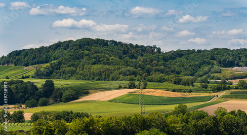 Blick auf die Weinberge und Wald in Erlenbach in Baden-Württemberg © Studio Wilkos