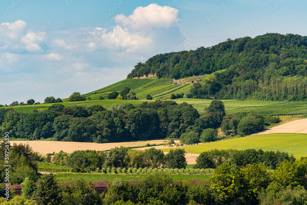 Blick auf die Weinberge und Wald in Erlenbach in Baden-Württemberg