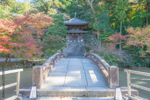 知恩院 photo