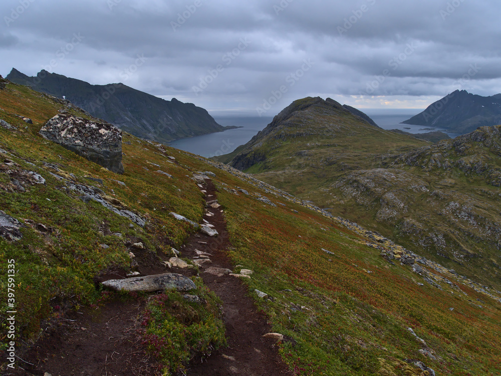 Fototapeta premium Beautiful view of hiking trail on steep slope with arctic colorful meadows on route to peak of Volandstinden with rugged mountains on the southern coast of Flakstadøya island, Lofoten, Norway.