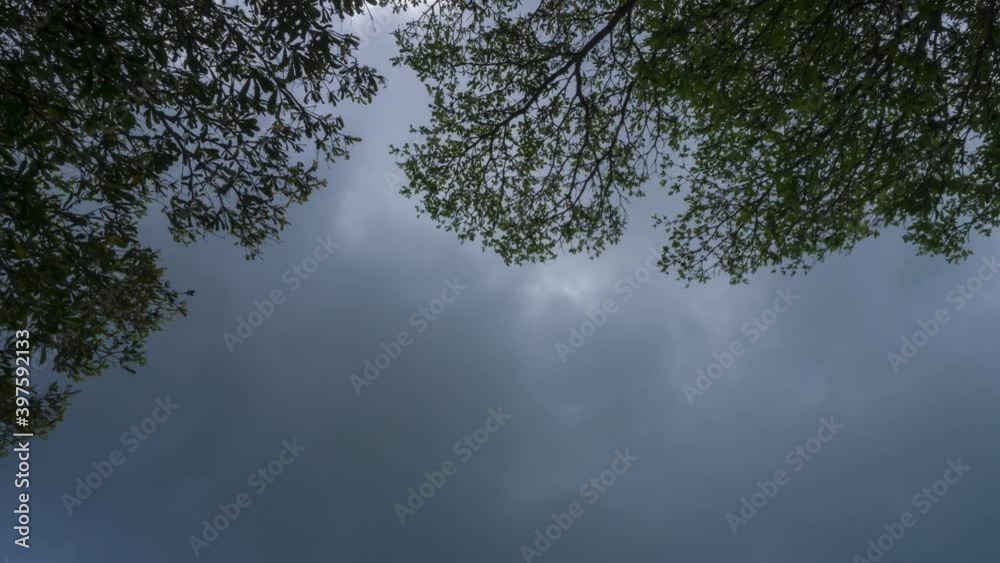 dark stormy clouds over sky from lower angle view from treetop in rainy summer season in tropical country. clouds change from dark to clear blue sky with cumulus fluffy white clouds. nature background dark stormy clouds over sky from lower angle view from treetop in rainy summer season in tropical country. clouds change from dark to clear blue sky with cumulus fluffy white clouds. nature background