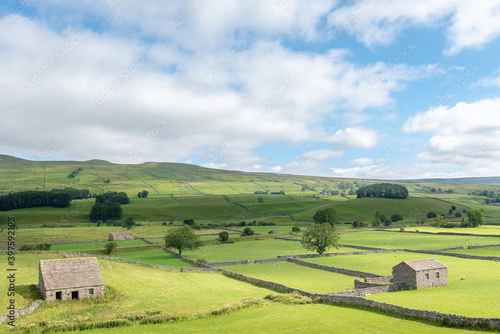 Cotterdale, Yorkshire Dales National Park, York, England  - A view of an old stone barn, sheep and the rolling landscape of the Yorkshire Dales.