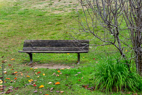 Viejo banco de madera anclado en un parque un día de otoño.