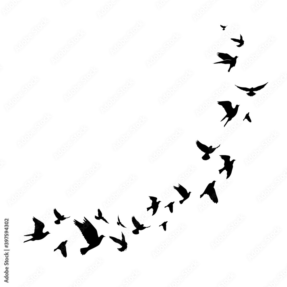 Flying birds silhouette illustration. Vector background Flying birds silhouette illustration. Vector background