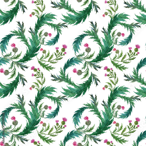 Watercolor seamless pattern with stylized twigs, flowers and leaves of the Thistle plant