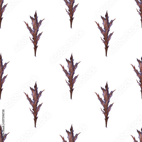 Fototapeta Naklejka Na Ścianę i Meble -  Watercolor seamless pattern with stylized twigs, flowers and leaves of the Thistle plant
