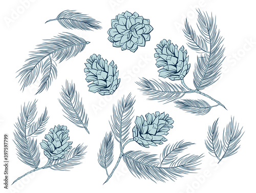Fir cones set, pine tree branch spruces, vector decoration elements for patterns and backgrounds. Fire cones or pinecones isolated set in line art design, modern trendy pastel green Christmas decor