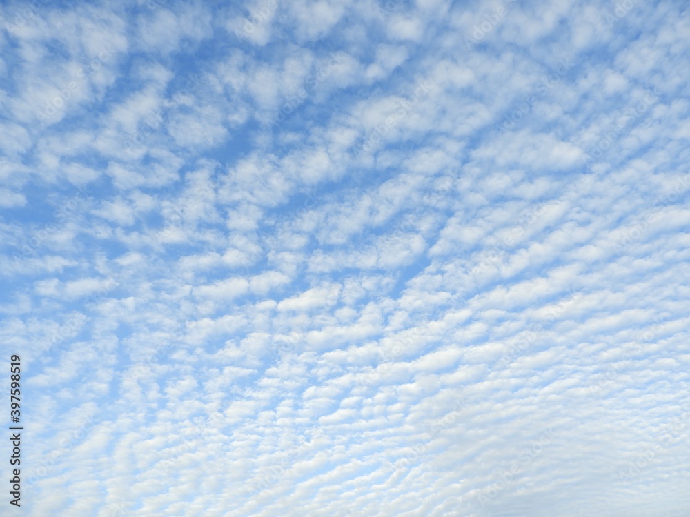 Obraz premium 空 うろこくも