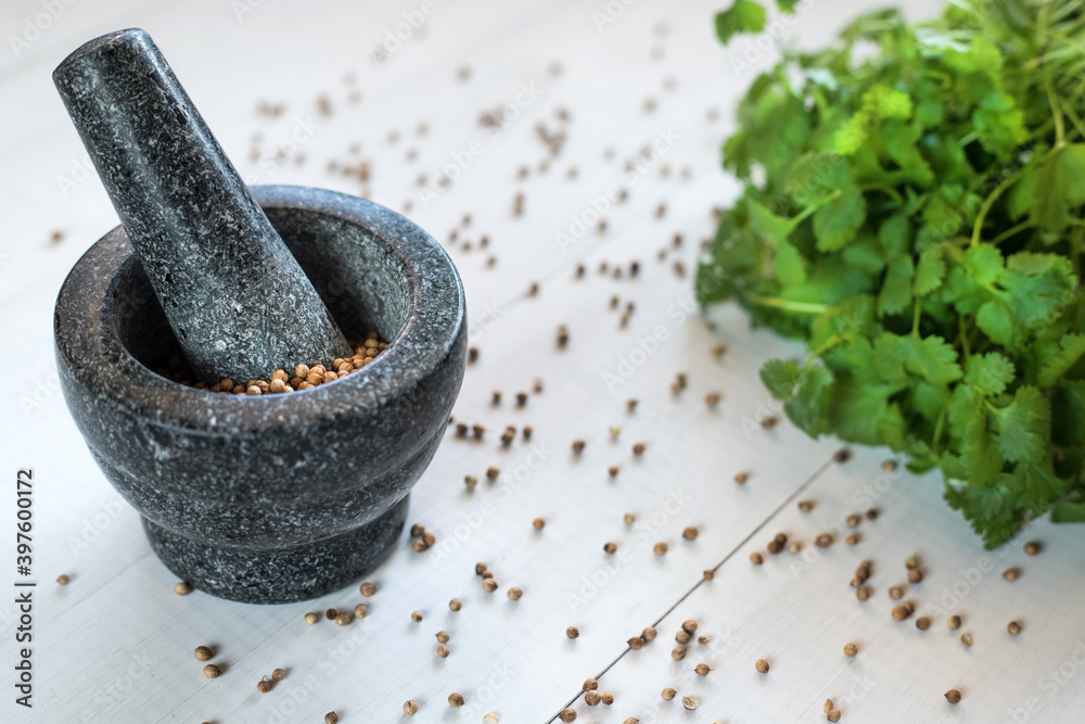 Cilantro coriander seeds spice with granite mortar.
