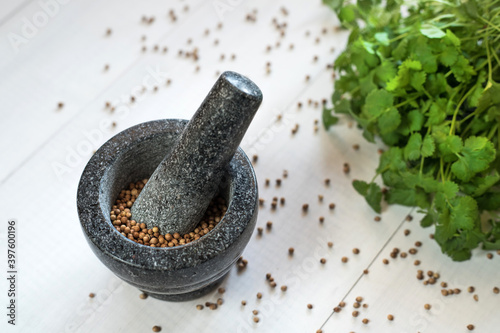 Cilantro coriander seeds spice with granite mortar.