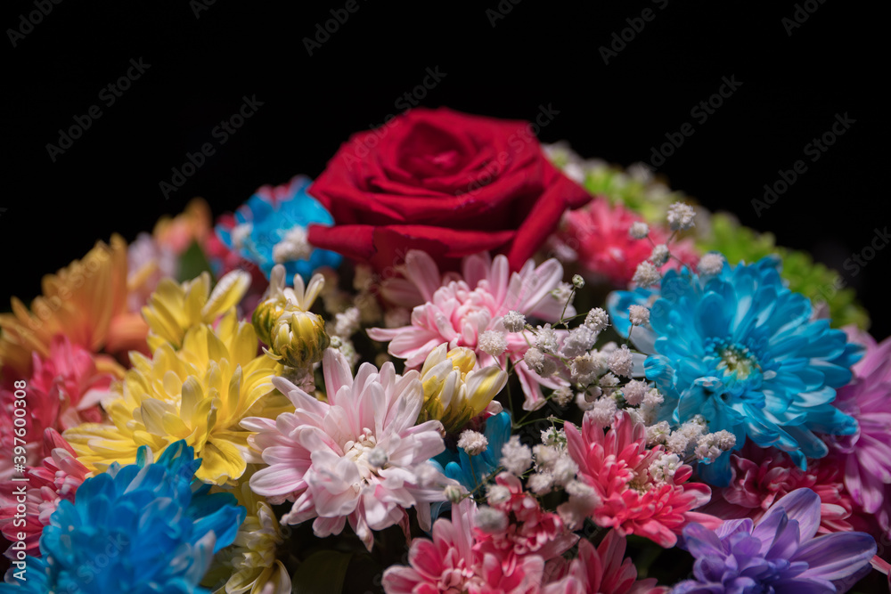 Beautiful and colorful flower bouquet, on dark bakground. Floral bouquet of different flowers. Best for a greeting card