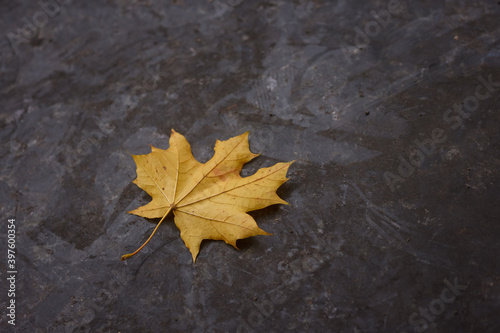 Dry maple leaf lies on a dirty granite surface
