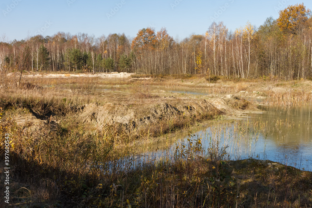 Pond among the autumn forest on a beautiful sunny day. Autumn landscape