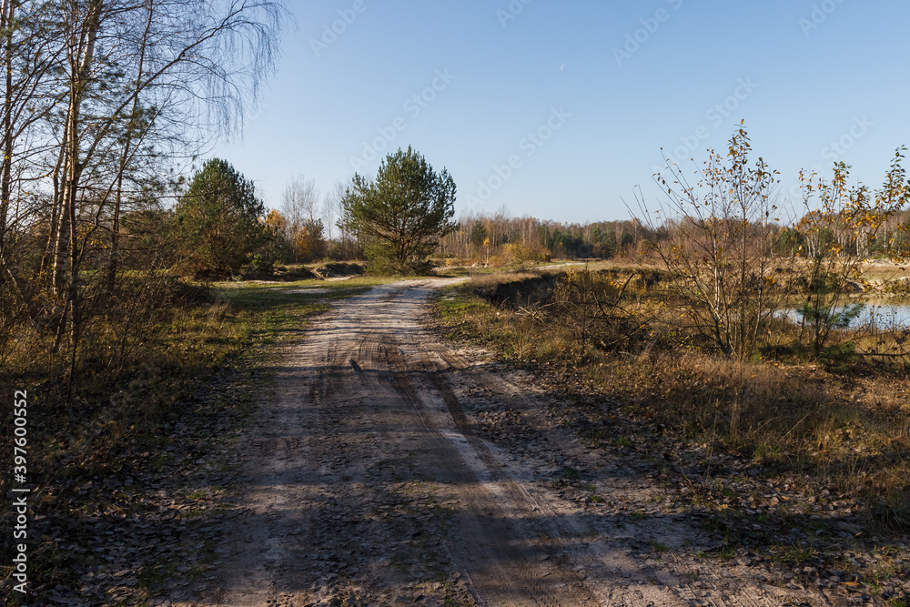 Dirt road through the autumn forest in sunny weather. Autumn landscape