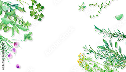 テーブルに置いたいろいろなハーブの俯瞰。水彩イラストフレーム背景。影あり。