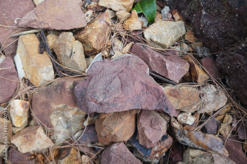 piece of Pink Arkose Sandstone rock on nature background. Sandstones are sedimentary rocks. 