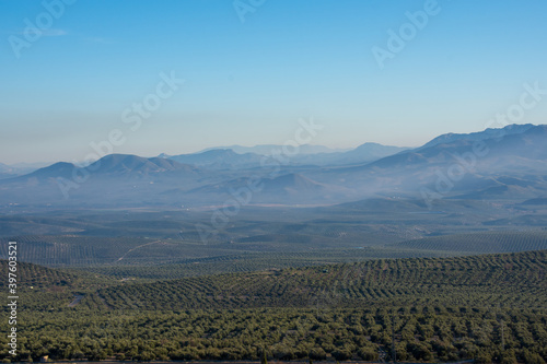 Andalusian landscape with large extensions of olive trees between hills and mountains © Miguel Ángel RM