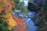 日本の渓谷の紅葉