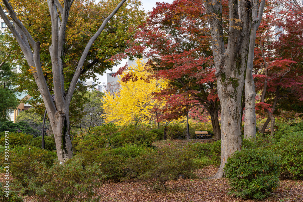Naklejka premium 霞ヶ関・有楽町散策