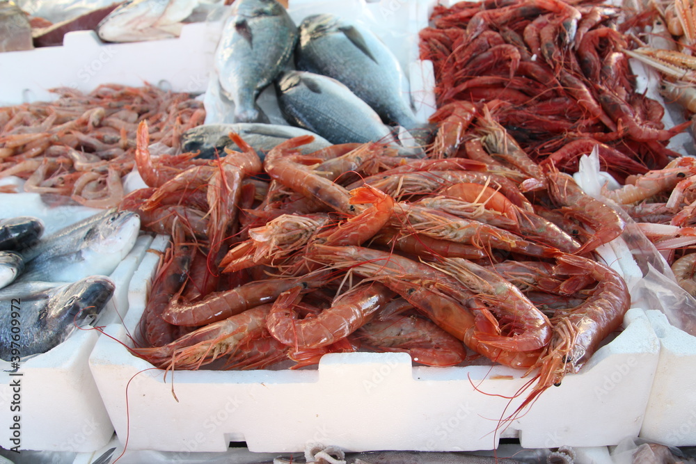 Close up of seafood in the market of Italy, Gallipoli