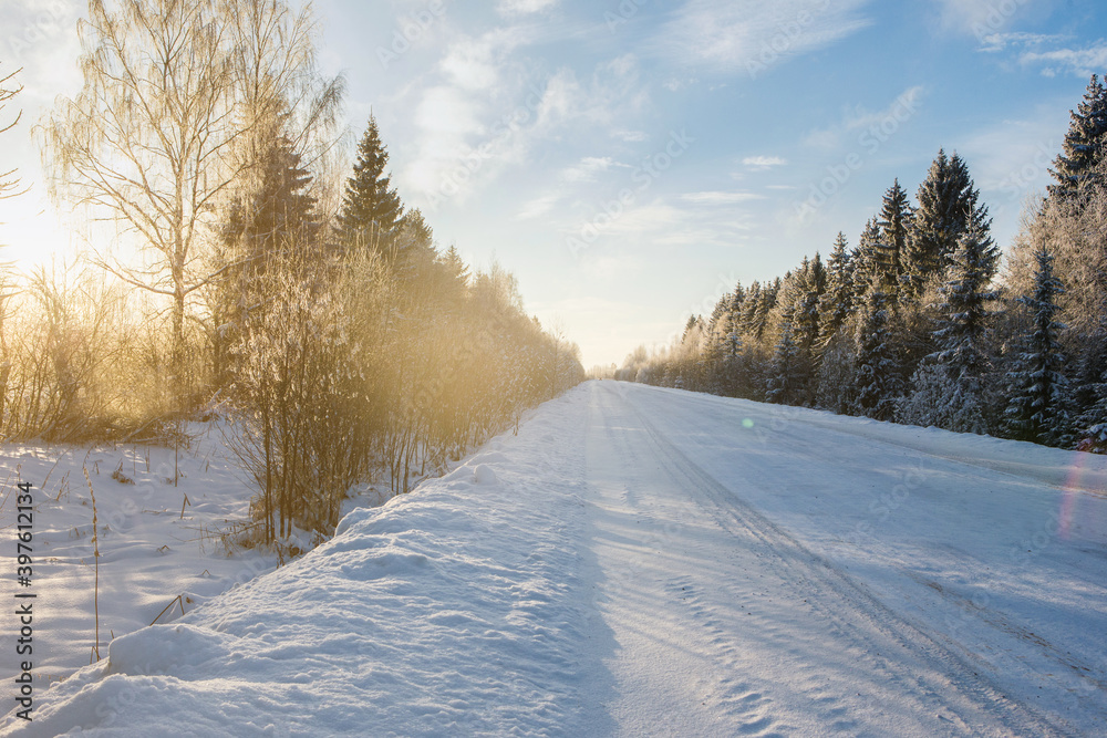Obraz premium Winter road through the forest 