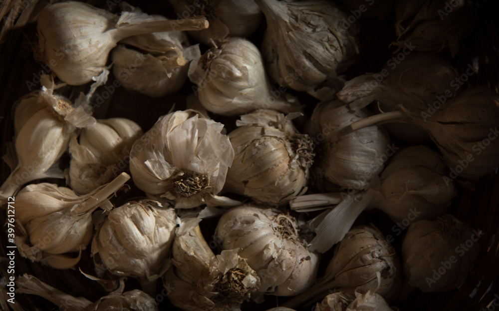 garlic background