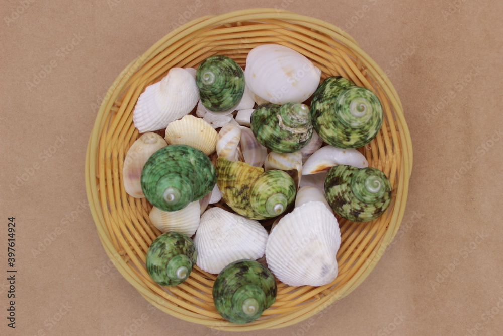 green and white sea shells in a basket with relax spa life green and white sea shells in a basket with relax spa life