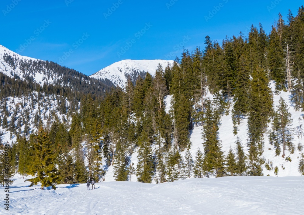 Schneewanderung in den Alpen