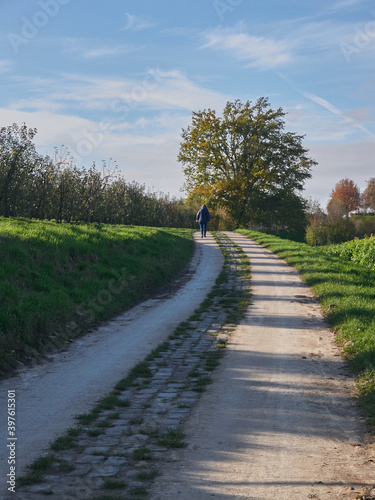 person walking on a path